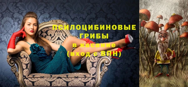 спиды Белокуриха