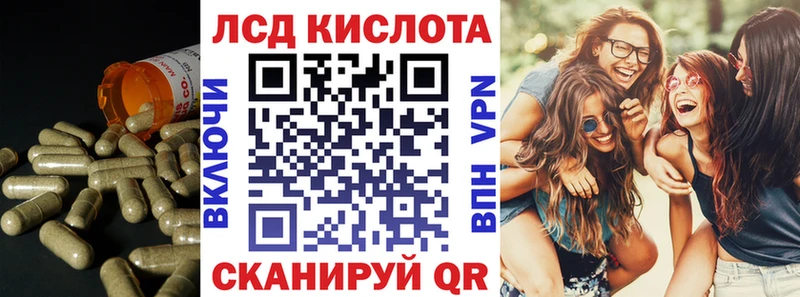 закладка Вяземский блэк спрут как войти Лсд 25 экстази кислота