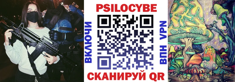 купить наркоту  ссылка на мегу ссылка  Псилоцибиновые грибы GOLDEN TEACHER  мориарти формула  Вяземский 