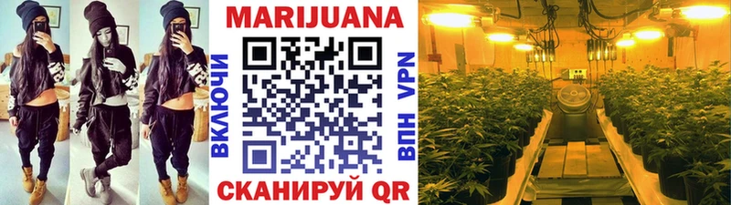 Конопля планчик  Вяземский 